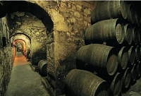 �ƽ���ӛ�����Z(y��)�{��΢�����Ѿƌ���(m��ng)�׺�......