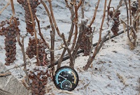 ���Ƶı�����̫�̣�����ԓ��ô����