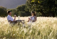 �����ѵ��������xһƿ�����Ѿư���