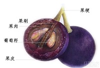 ���ѾƆΌ������ϵĂ��f