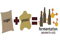 �]�д���17�ȵ����ѾƆ���