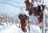 ��Ʋ��ɲ�֪��4�c(di��n)С֪�R