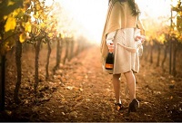 ���Ѿ���һ�����۵İ�H