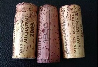 ��ľ�����Է�ƿ��߀��������Щ��