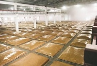 ���y(t��ng)���x�ϵİ׾ƏS�OӋ