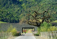 ���Ѿ��f�O(sh��)Ӌ(j��)�����f(w��n)���Ծ��f