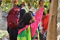 �ž������Ʒһ���r(sh��)���������Ѿ�