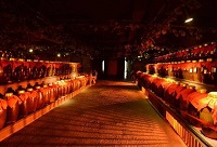 ��ʲô�׾ƾƽѱȰ׾ƾ�ƿ���Ƹ�����