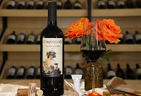 ������_���_�t�Ƶ�ܛľ����