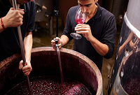 ���ѳ�������������ѾƵ�Σ��!!!