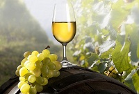 ���Ѿ��_ƿ�󵽵��ܷŶ����